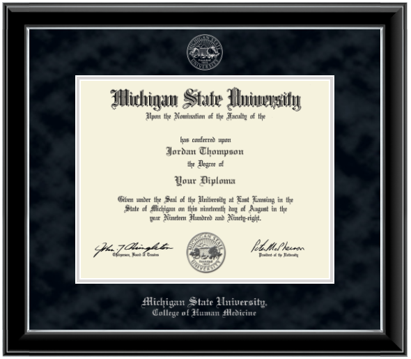 Framed Michigan State University diploma in a black glossy frame with a silver inner edge. The matte is black, featuring the university seal at the top center and 'Michigan State University' written in silver at the bottom center.