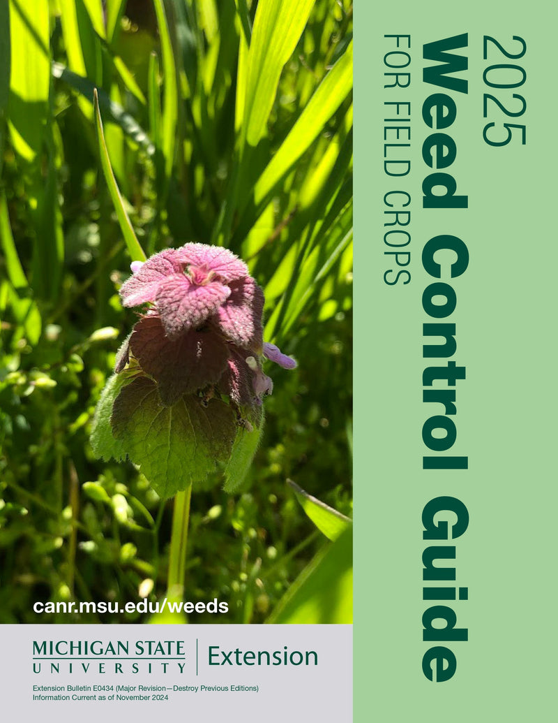 2025 Weed Control Guide for Field Crops. Purple deadnettle growing in winter wheat.
