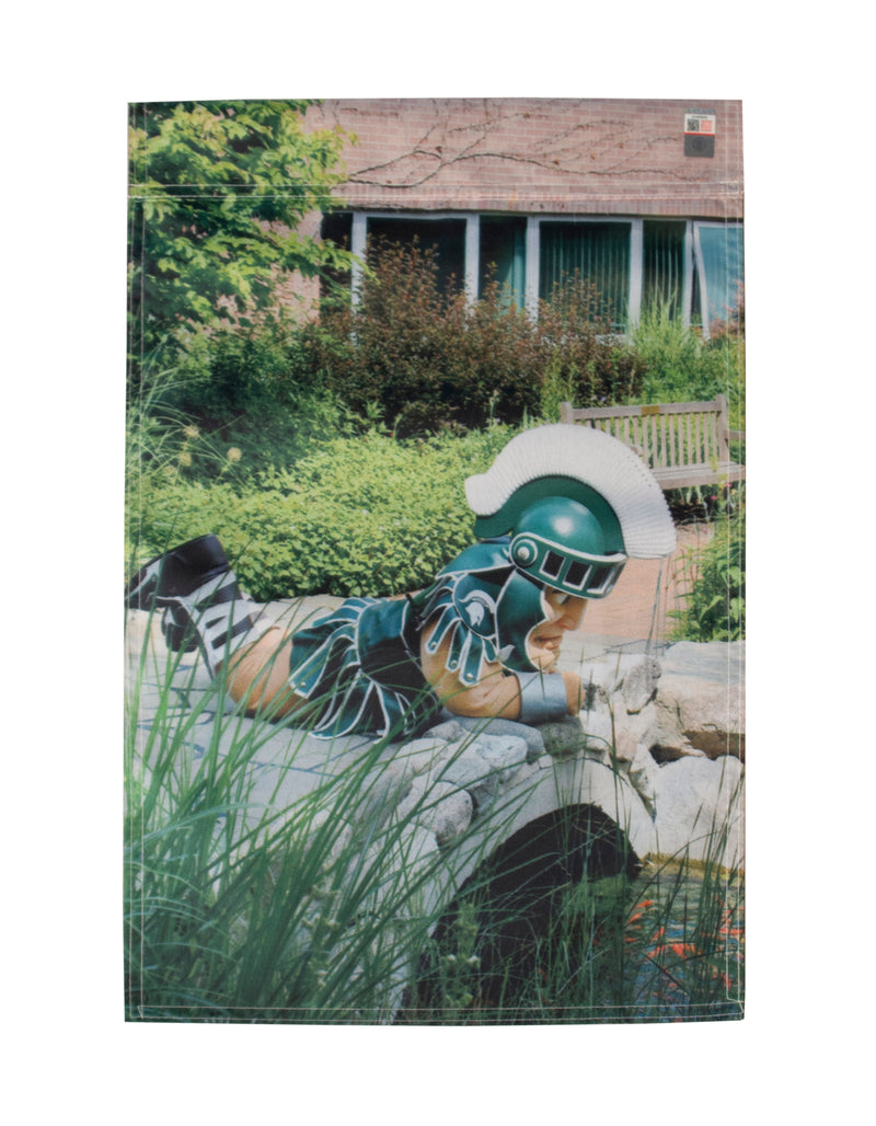 Flag image with Sparty laying on the bridge over a Koi pond in the Healing Gardens. 