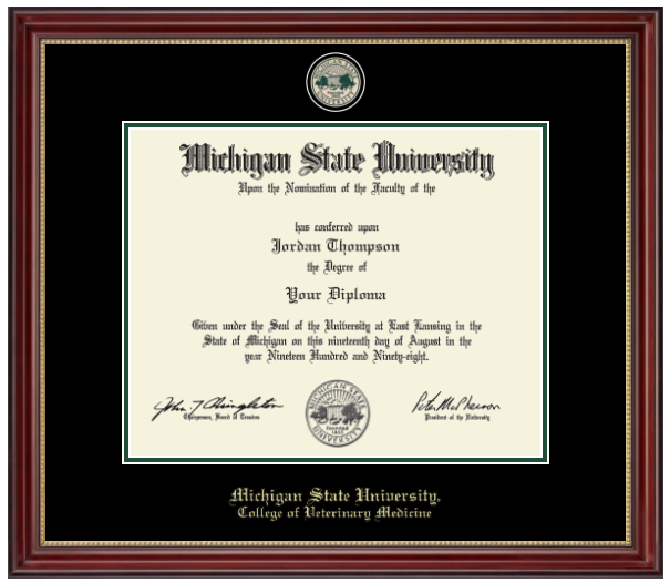 Michigan State University diploma with a red border and gold accents