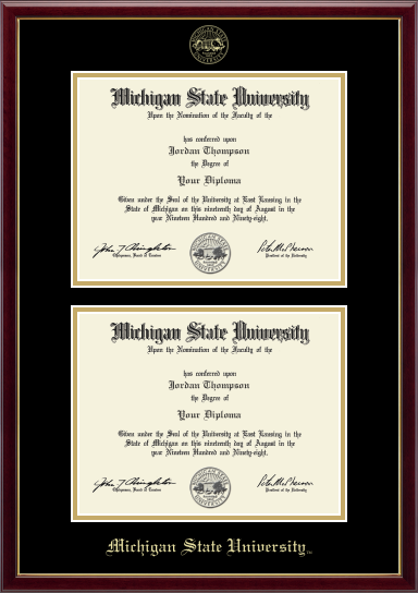 Framed display with a black matte background featuring two Michigan State University. The frame includes the university name, 'Michigan State University,' printed at the bottom. Top of matte is gold embossed Michigan State University Seal. 