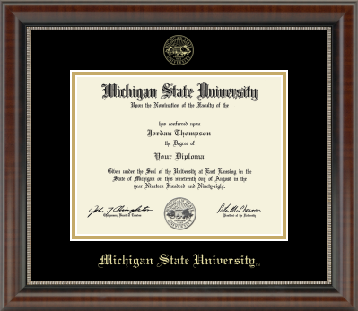 The diploma is enclosed in a dark brown wood frame with a black matte and gold trim. 'Michigan State University' is printed in gold lettering at the bottom center of the frame.