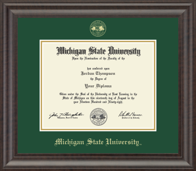 The diploma is enclosed in a dark wood frame with a tartan green matte and gold trim. 'Michigan State University' is printed in gold lettering at the bottom center of the frame