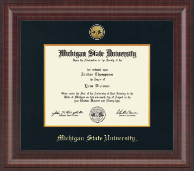 The frame is dark wood with a glossy finish. It features a double matte: an outer green matte and an inner gold matte that complements the gold university seal. 'Michigan State University' is printed in gold text on a black background at the bottom center of the frame.