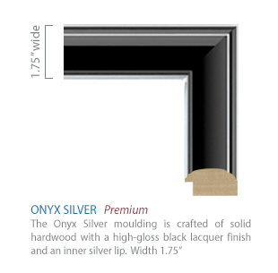 Close-up detail of the Onyx Silver frame moulding.