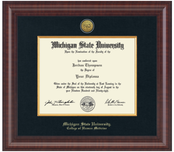 The frame is dark wood with a glossy finish. It features a double matte: an outer black matte and an inner gold matte that complements the gold university seal. "Michigan State University" is printed in gold text on a black background at the bottom center of the frame. Below in gold lettering is "College of Human Medicine."