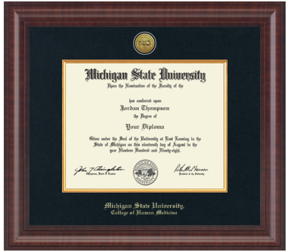 The frame is dark wood with a glossy finish. It features a double matte: an outer black matte and an inner gold matte that complements the gold university seal. "Michigan State University" is printed in gold text on a black background at the bottom center of the frame. Below in gold lettering is "College of Human Medicine."