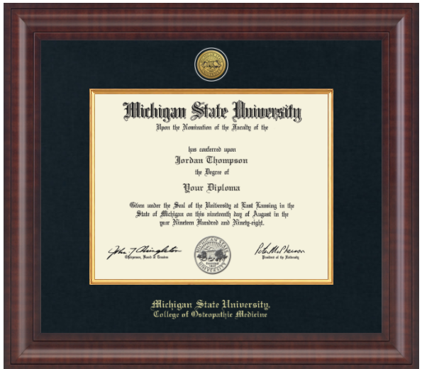 The frame is dark wood with a glossy finish. It features a double matte: an outer black matte and an inner gold matte that complements the gold university seal. 'Michigan State University' is printed in gold text on a black background at the bottom center of the frame. Below in gold lettering is 'College of Osteopathic Medicine'.