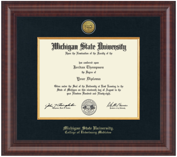 The frame is dark wood with a glossy finish. It features a double matte: an outer black matte and an inner gold matte that complements the gold university seal. "Michigan State University" is printed in gold text on a black background at the bottom center of the frame. Below in gold lettering is "College of Veterinary Medicine."