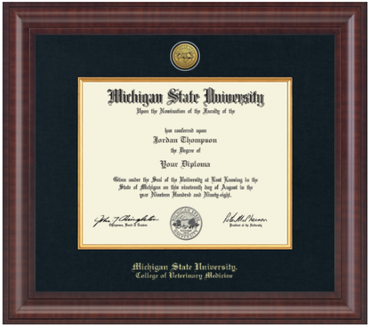 The frame is dark wood with a glossy finish. It features a double matte: an outer black matte and an inner gold matte that complements the gold university seal. "Michigan State University" is printed in gold text on a black background at the bottom center of the frame. Below in gold lettering is "College of Veterinary Medicine."