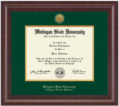 The frame is dark wood with a glossy finish. It features a double matte: an outer green matte and an inner gold matte that complements the gold university seal. "Michigan State University" is printed in gold text on a black background at the bottom center of the frame. Below in gold lettering is "College of Human Medicine."