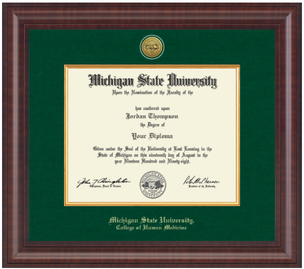 The frame is dark wood with a glossy finish. It features a double matte: an outer green matte and an inner gold matte that complements the gold university seal. 'Michigan State University' is printed in gold text on a black background at the bottom center of the frame. Below in gold lettering is 'College of Human Medicine'.