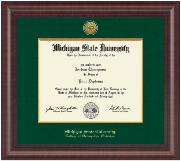 The frame is dark wood with a glossy finish. It features a double matte: an outer green matte and an inner gold matte that complements the gold university seal. 'Michigan State University' is printed in gold text on a black background at the bottom center of the frame. Below in gold lettering is 'College of Osteopathic Medicine'.