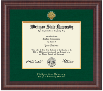 The frame is dark wood with a glossy finish. It features a double matte: an outer green matte and an inner gold matte that complements the gold university seal. "Michigan State University" is printed in gold text on a black background at the bottom center of the frame. Below in gold lettering is "College of Veterinary Medicine."