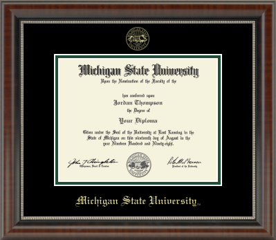 The diploma is enclosed in a dark brown wood frame with a black matte and green trim. 'Michigan State University' is printed in gold lettering at the bottom center of the frame.