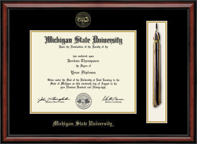 Dark cherry colored frame with a gold inner border and black matte finish, displaying a Michigan State University diploma on the left and a graduation tassel on the right. The top of the frame features the university emblem, and 'Michigan State University' is printed in gold text at the bottom.