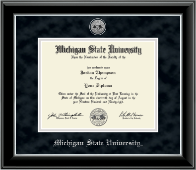 Black diploma frame with silver inner lining. Black suede matts with silver lining around opening for diploma. Silver engraved Michigan State University seal at top of matting. In silver letters "Michigan State University" at the bottom of matting. 