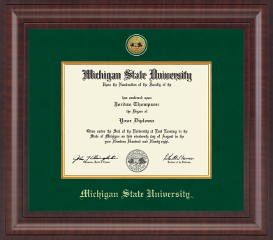 The frame is dark wood with a glossy finish. It features a double matte: an outer green matte and an inner gold matte that complements the gold university seal. 'Michigan State University' is printed in gold text on a black background at the bottom center of the frame