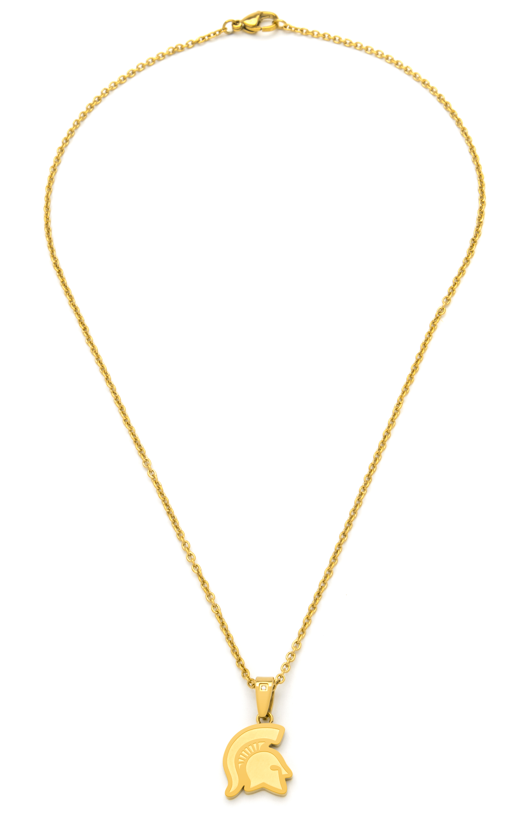 Gold colored stainless steel necklace with a Spartan Helmet pendant. Shown on a white background.