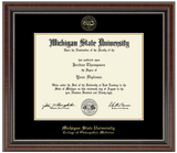Church Hill Classics Diploma Frame Gold Embossed in Chateau (Ph.D./Medical)