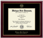 Church Hill Classics Diploma Frame Gold Embossed in Gallery (Ph.D./Medical)