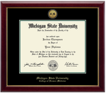 Church Hill Classics Diploma Frame Gold Engraved Medallion in Gallery (Ph.D./Medical)
