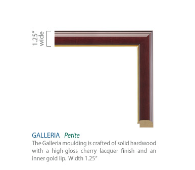 Church Hill Classics Double Diploma Frame Gold Embossed in Galleria (Bachelor's/Master's)